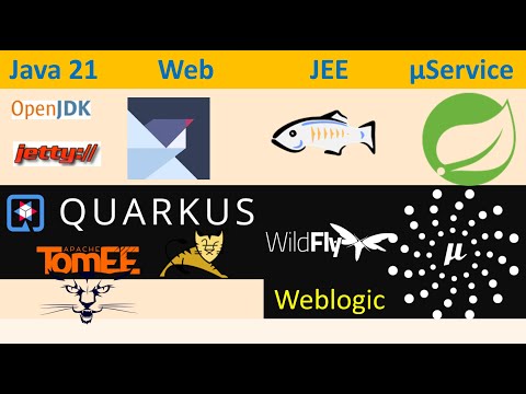 Java 21 - Which is the BEST Java Web Server | JEE Application Server | Microservices Framework