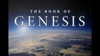 Genesis 9 NLT