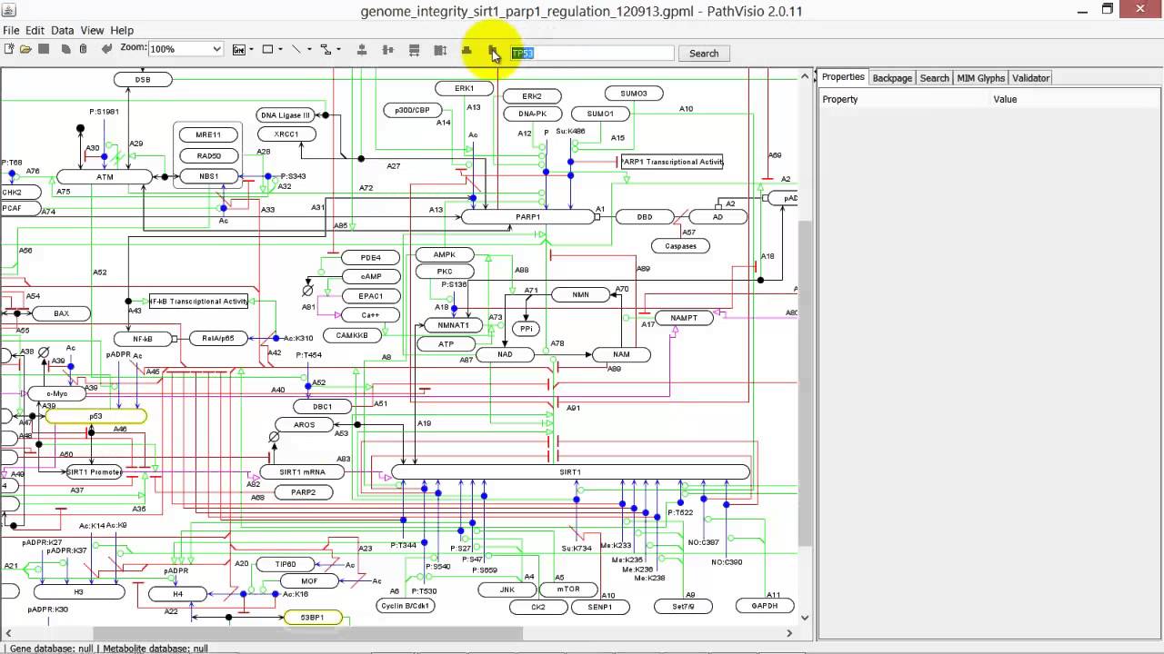 Using PathVisio for Pathway Analysis: Navigate and Search