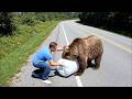 Animals That Asked People for Help & Kindness DEFAULT Thumbnail