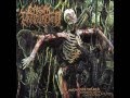 Carnal Disfigurement Inhuman Devoured Content From Cranial Cavity Full Album