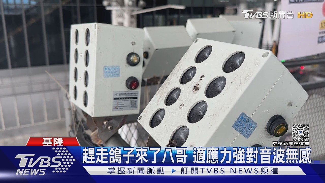 影音/基隆轉運站鳥事!民眾遭「空襲」 超音波趕鳥效果有限