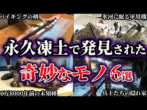 「ロストワールド」:高原で発見された種