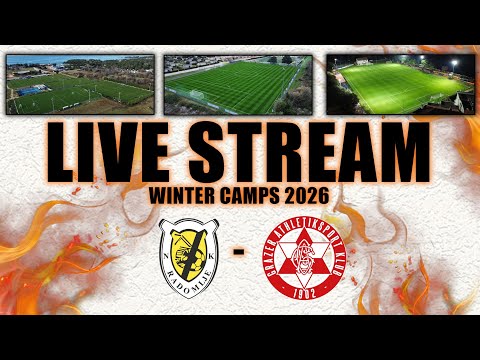 Friendly match: NK Radomlje -  Grazer AK