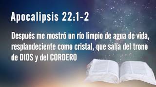 DANZARÉ, CANTARÉ (LETRA) - MARCOS WITT