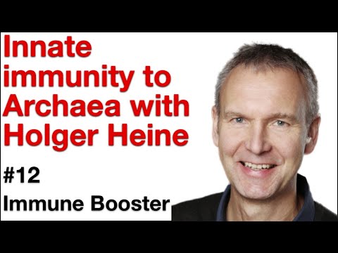 Immune Booster #12: Innate immunity to Archaea with Holger Heine