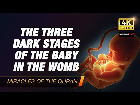 Scientific Miracles of the Quran #9 : The Three Dark Stages of the Baby in the Womb