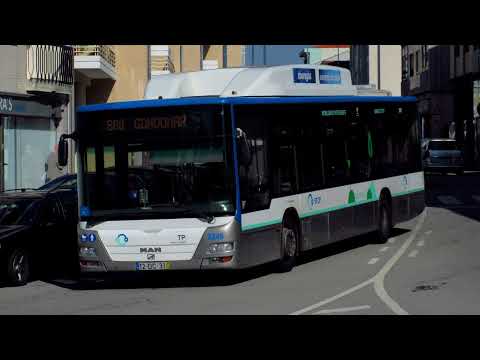 STCP 3245 (audio recording - collab)