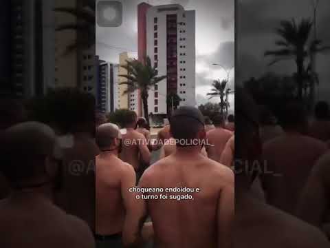 CANÇÃO TFM - COTAR (PMCE)