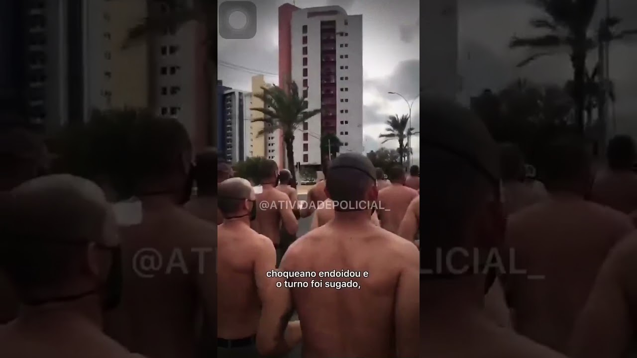 CANÇÃO TFM - COTAR (PMCE)