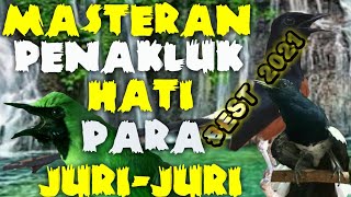Download lagu MASTERAN KICAU SELERA JURI NASIONAL UNTUK BURUNG MURAI BATU, CUCAK IJO, KACER, KONIN, CENDET, DLL,.. mp3 Download lagu MASTERAN KICAU SELERA JURI NASIONAL UNTUK BURUNG MURAI BATU, CUCAK IJO, KACER, KONIN, CENDET, DLL,.. mp3