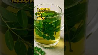 Download lagu 5 Manfaat Rebusan Daun Kelor Untuk Kesehatan mp3