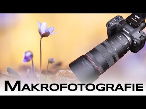 Equipment für die Makrofotografie