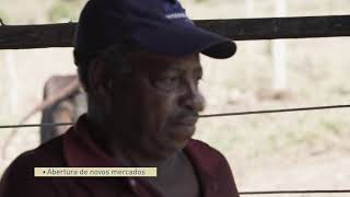 Image for Programa Crescer Histórias de Transformação Jeso Ares