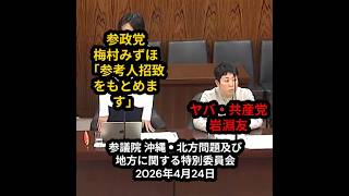 参政党 梅村みずほ・共産党 岩淵友：参議院 沖縄・北方問題及び地方に関する特別委員会 2026年4月24日