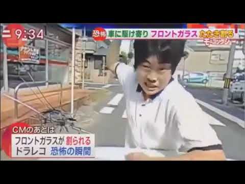 鳥が窓に飛び込んできた場合はどうすればよいですか? 自然と動物