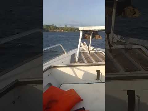 Passeio de lancha no Rio Araguari em Ferreira Gomes Amapá #2