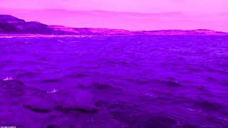 Ｇｕｓｔａｖｏ　Ｃｅｒａｔｉ　Ｐａｒａｃａｉｄａｓ - ａｅｓｔｈｅｔｉｃ-