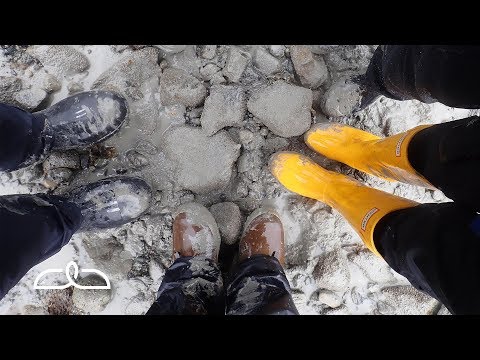 download lagu mp3 mp4 Alaskan Sneakers, download lagu Alaskan Sneakers gratis, unduh video klip Alaskan Sneakers