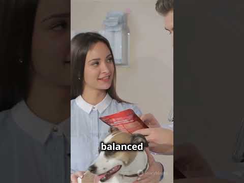 What’s the Best Diet for Your Pet?