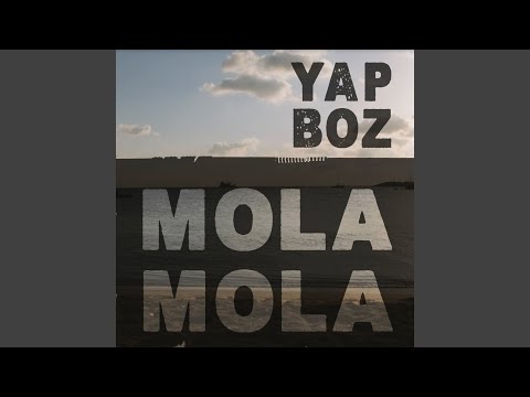Yapboz