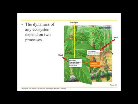 Part 1 Chapter 1 Introduction Biology Today