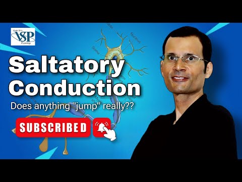 Saltatory conduction ~ Does anything "jump" really..??? | PHYSIOLOGY | MBBS | Dr Vivek Nalgirkar |