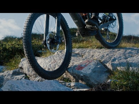 TREK Powerfly LT 9.7 Plus