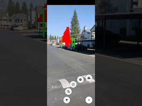 Tree Walk Guide video thumbnail