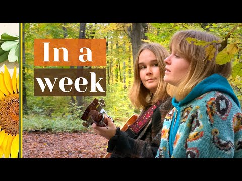 In A Week - Hozier (Cover)