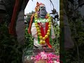 பொதிகை மலை அகத்தியர் தரிசனம் Pothigai Hills Agathi