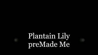 ギボウシの花言葉、変わらない思い『Plantain Lily』【preMade Me】（オリジナル曲）