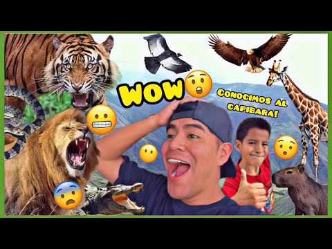 WE WENT TO THE PARK OF LEGENDS🦖😳I don't care😩- Hardytineo