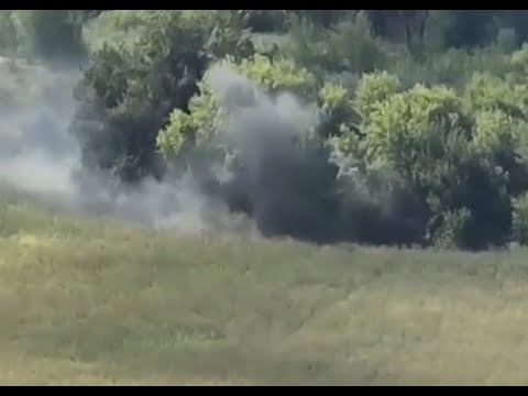 The Chechens Bravely Defeat a Bush -- In Russia