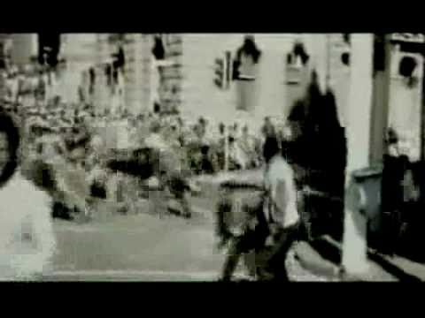 Dawn of the Dumb -- Black Friday Follies