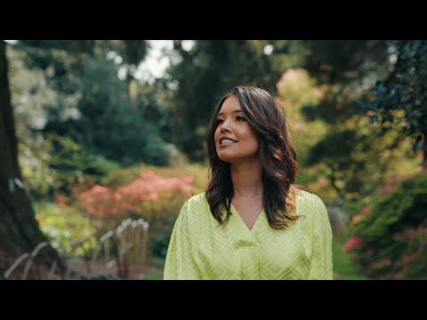 Het Lijkt Wel Zomer - Lissa Lewis