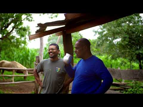 CINEMATIC VÍDEO ARAGARCAS - GOIAS - BRAZIL 2025