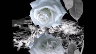 Teddy Pendergrass~ &quot;  I&#39;ll Never See Heaven Again&quot; ~ ❤️♫1979