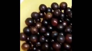 Crisol de culturas en un plato de comida