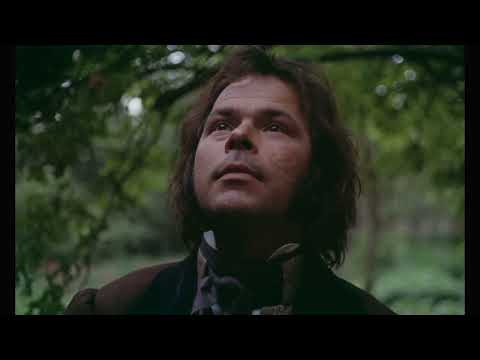 Jeder für sich und Gott gegen alle