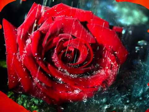 ΛΟΓΙΑ ΦΙΛΙΚΑ - ΑΛΧΗΜΙΣΤΕΣ feat ΒΑΣΙΛΗΣ ΚΑΡΡΑΣ