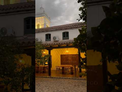 Noches Mágicas é o combo de visita, degustação e experiência na Vinícola El Esteco em Cafayate-AR