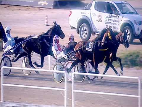 Trotto 17/03/2019 - 5ª corsa