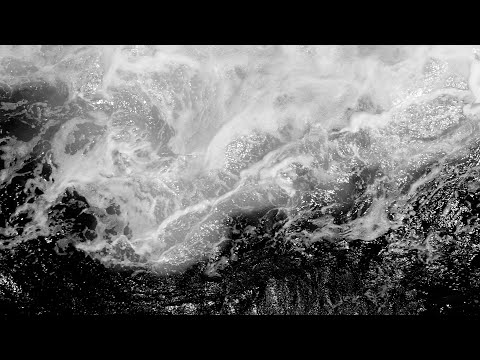 Hrederik & Bio Bros - Rise Up (Lyric Video)