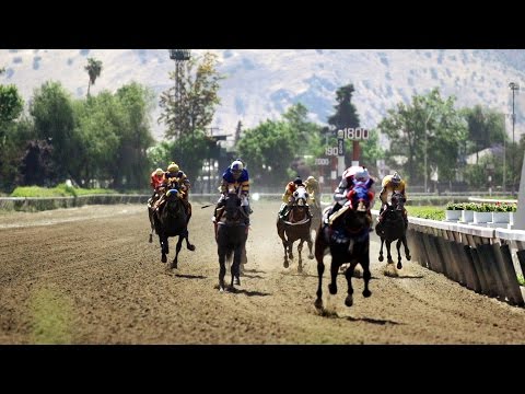 Vamos a la hípica Video