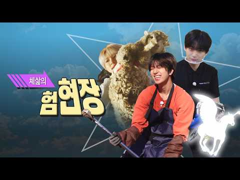 CRAVITY PARK EP.115 Luck-of-the-Draw Worksite [Ultimate Real-Life Worksite Special] l VITY Park 2026