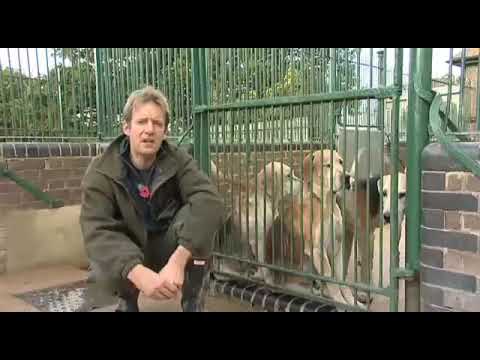 Fieldsports Britain – Hounds, first trout, and recycling cartridges – episode 7 Fieldsports Britain – Hounds, first trout, and recycling cartridges – episode 7
