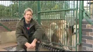Fieldsports Britain : Hounds, first trout, and recycling cartridges (episode 7)