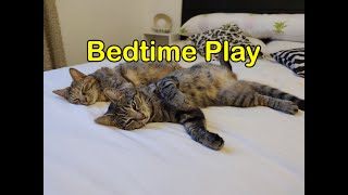 Bedtime Play with Emma and Munja