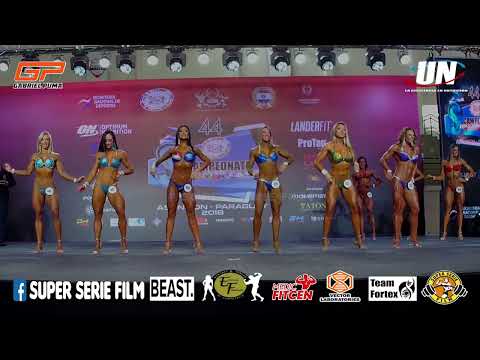 WELLNESS SENIOR mas de 1.63 m. - SUDAMERICANO 2018